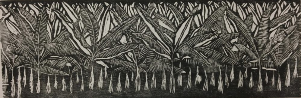 বৈচিত্রের ভারতবর্ষ