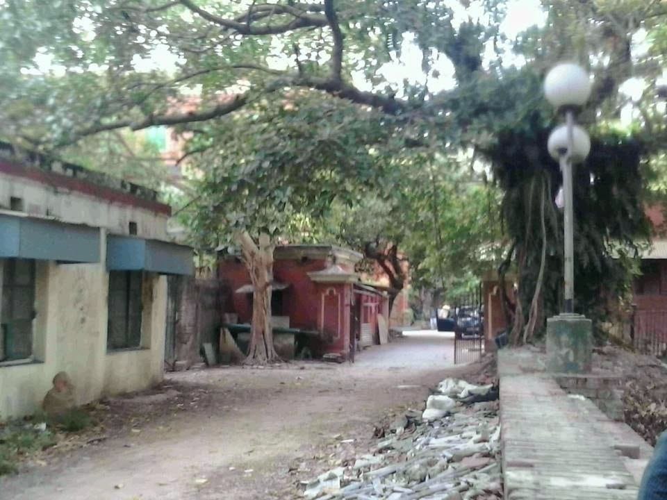 কলেজ লাইফ